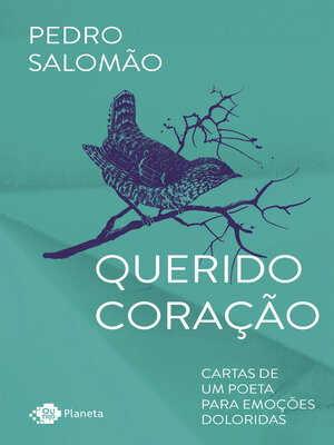 cover image of Querido coração